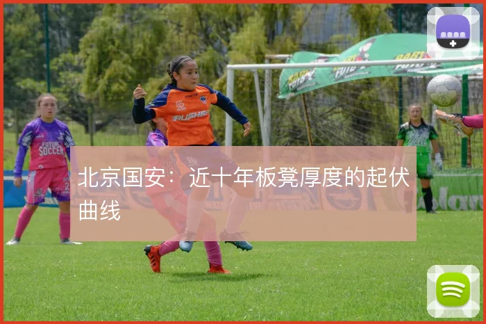 北京国安：近十年板凳厚度的起伏曲线